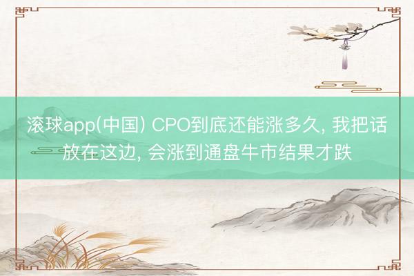 滚球app(中国) CPO到底还能涨多久， 我把话放在这边， 会涨到通盘牛市结果才跌
