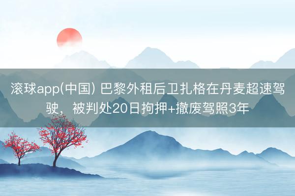 滚球app(中国) 巴黎外租后卫扎格在丹麦超速驾驶，被判处20日拘押+撤废驾照3年