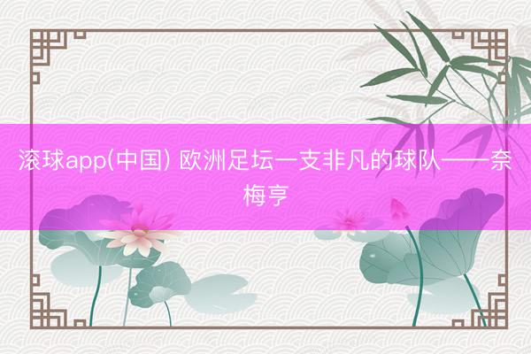 滚球app(中国) 欧洲足坛一支非凡的球队——奈梅亨