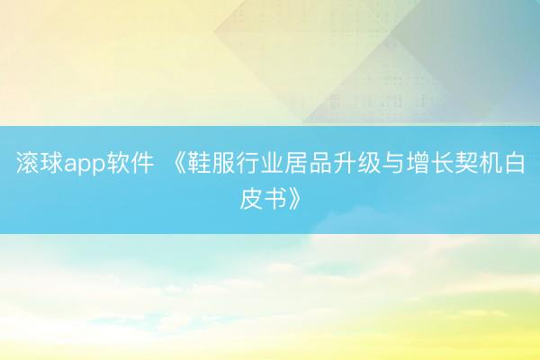 滚球app软件 《鞋服行业居品升级与增长契机白皮书》