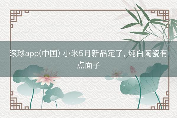 滚球app(中国) 小米5月新品定了, 纯白陶瓷有点面子