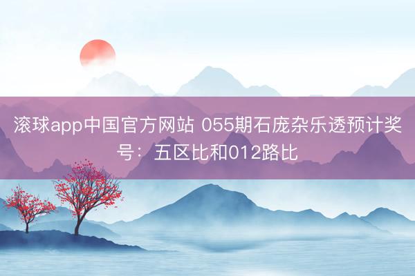 滚球app中国官方网站 055期石庞杂乐透预计奖号：五区比和012路比