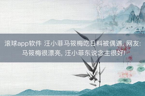 滚球app软件 汪小菲马筱梅吃日料被偶遇， 网友: 马筱梅很漂亮， 汪小菲东说念主很好!