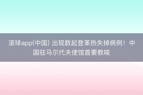 滚球app(中国) 出现数起登革热失掉病例！中国驻马尔代夫使馆首要教唆