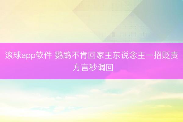 滚球app软件 鹦鹉不肯回家主东说念主一招贬责 方言秒调回