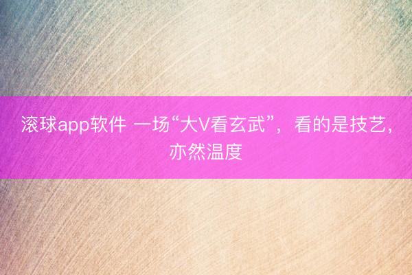 滚球app软件 一场“大V看玄武”，看的是技艺，亦然温度