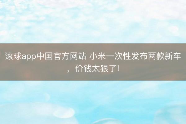 滚球app中国官方网站 小米一次性发布两款新车，价钱太狠了!