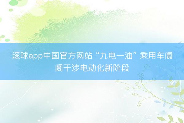 滚球app中国官方网站 “九电一油” 乘用车阛阓干涉电动化新阶段