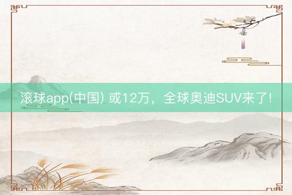 滚球app(中国) 或12万，全球奥迪SUV来了!