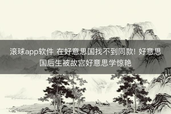 滚球app软件 在好意思国找不到同款! 好意思国后生被故宫好意思学惊艳