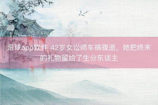 滚球app软件 42岁女讼师车祸骤逝，她把终末的礼物留给了生分东谈主