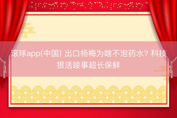 滚球app(中国) 出口杨梅为啥不泡药水? 科技狠活竣事超长保鲜