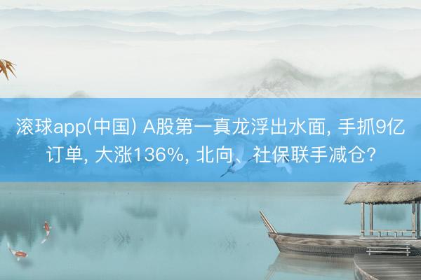 滚球app(中国) A股第一真龙浮出水面， 手抓9亿订单， 大涨136%， 北向、社保联手减仓?