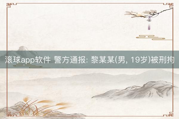 滚球app软件 警方通报: 黎某某(男, 19岁)被刑拘