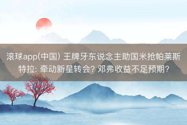 滚球app(中国) 王牌牙东说念主助国米抢帕莱斯特拉: 牵动新星转会? 邓弗收益不足预期?