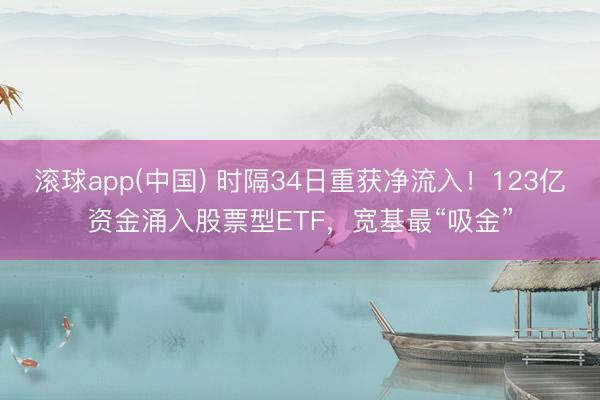 滚球app(中国) 时隔34日重获净流入！123亿资金涌入股票型ETF，宽基最“吸金”