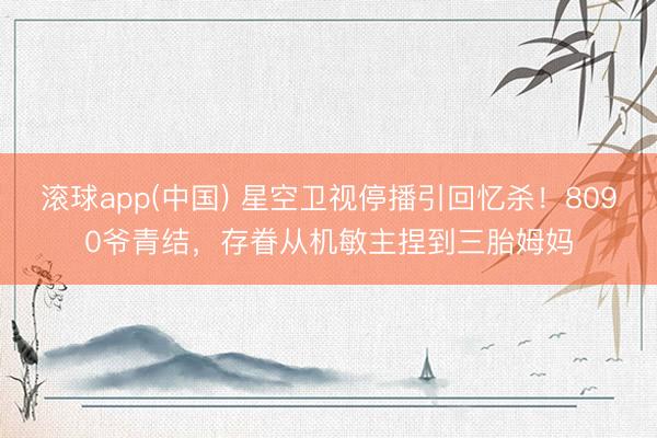 滚球app(中国) 星空卫视停播引回忆杀!8090爷青结,存眷从机敏主捏到三胎姆妈