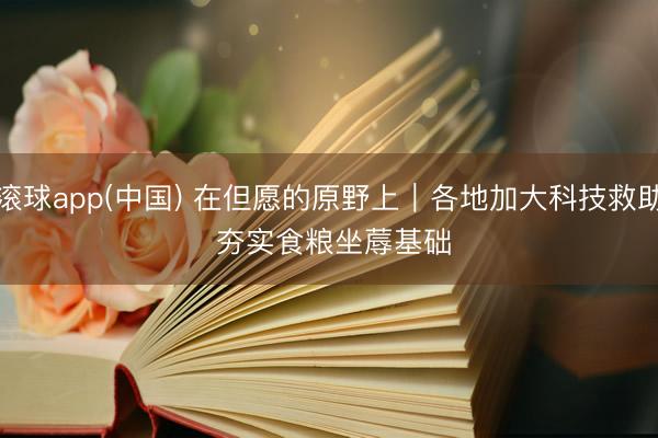 滚球app(中国) 在但愿的原野上｜各地加大科技救助 夯实食粮坐蓐基础