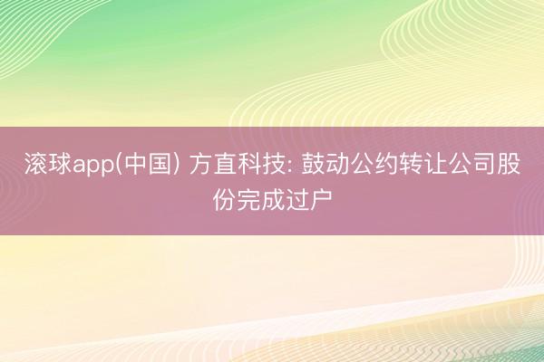 滚球app(中国) 方直科技: 鼓动公约转让公司股份完成过户